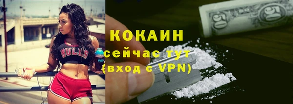 СК Медногорск
