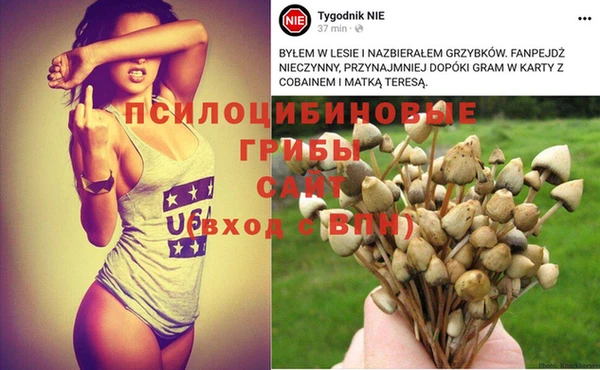 мяу мяу кристалл Медвежьегорск