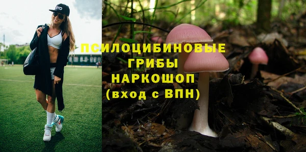 мяу мяу кристалл Медвежьегорск
