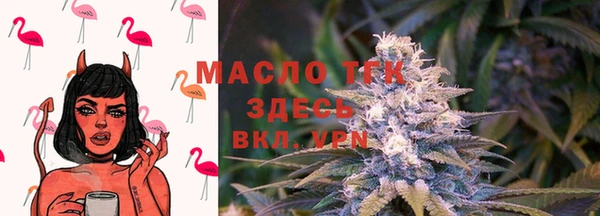 таблы Козельск