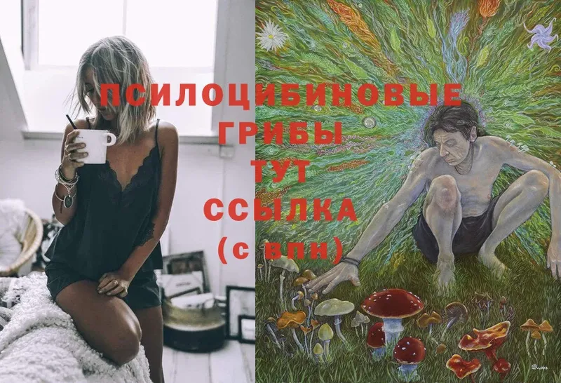 Псилоцибиновые грибы прущие грибы  Партизанск 