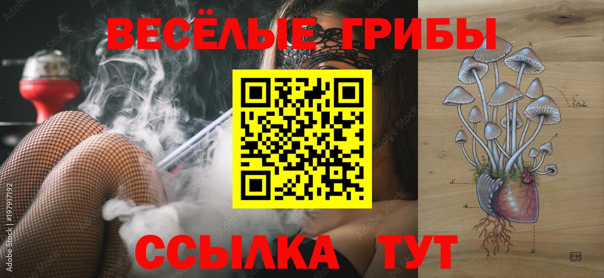 Галлюциногенные грибы ЛСД Партизанск