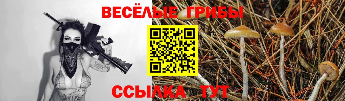 Партизанск  Псилоцибиновые грибы MAGIC MUSHROOMS  Вход с VPN  Псилоцибиновые грибы Psilocybe 