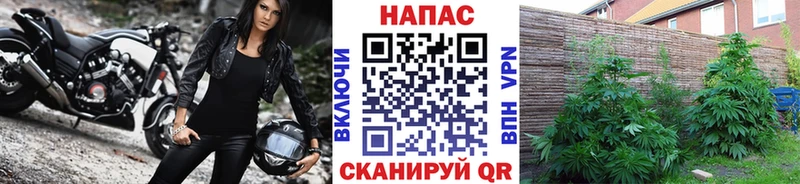 Каннабис AK-47  закладки  Партизанск 